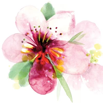 Floral Beauty I by Northern Lights framed wall art