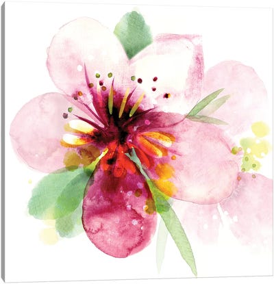 Floral Beauty I Canvas Art Print