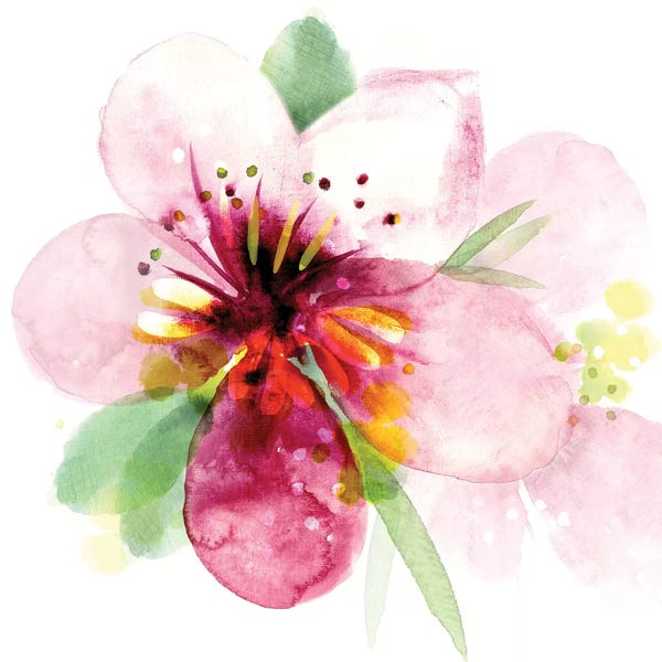 Northern Lights: Floral Beauty I by Northern Lights