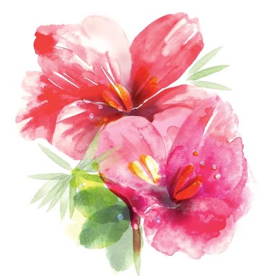 Floral Beauty II by Northern Lights framed wall art