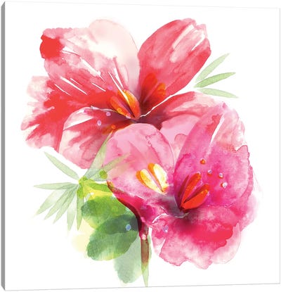 Floral Beauty II Canvas Art Print