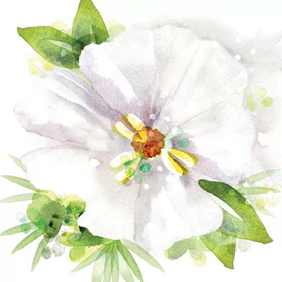 Floral Beauty III by Northern Lights framed wall art