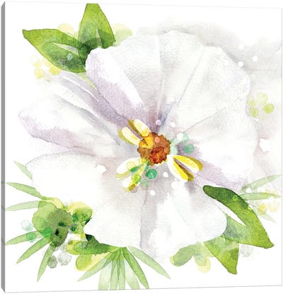 Floral Beauty III Canvas Art Print
