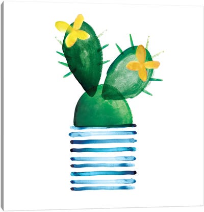 Colorful Cactus I Canvas Art Print