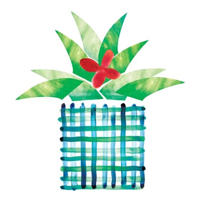 Colorful Cactus III by Northern Lights framed wall art