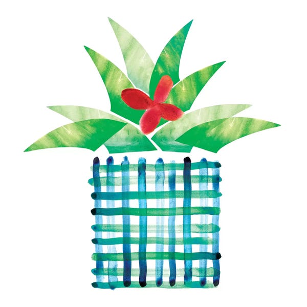 Northern Lights: Colorful Cactus III by Northern Lights