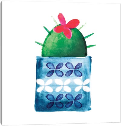 Colorful Cactus IV Canvas Art Print
