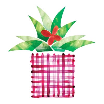 Colorful Cactus V by Northern Lights framed wall art