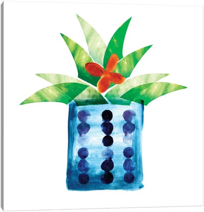 Colorful Cactus VII Canvas Art Print