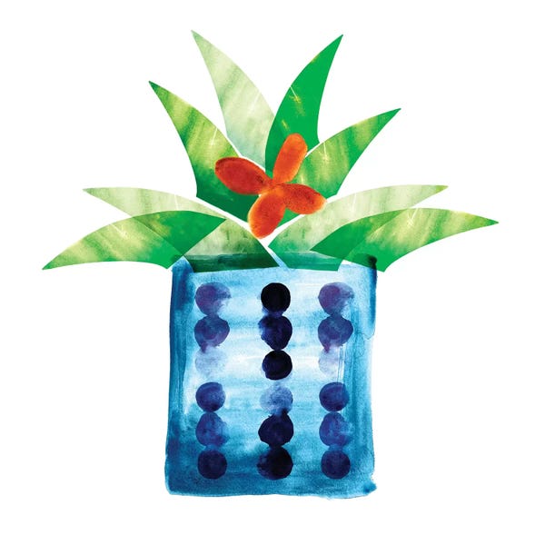 Northern Lights: Colorful Cactus VII by Northern Lights