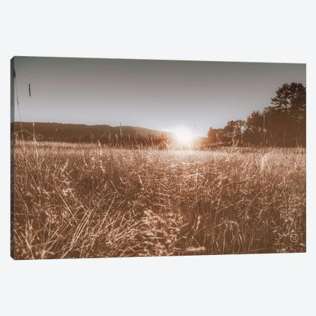 Fields Of Gold Canvas Print #NLR11} by Nathan Larson Canvas Art Print