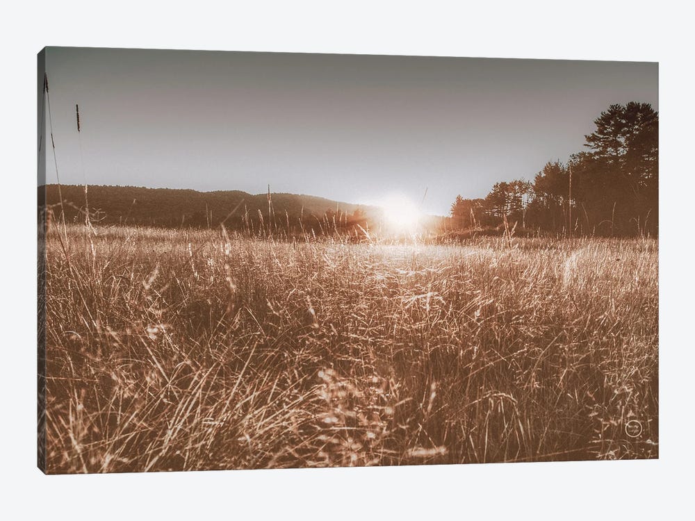 Fields Of Gold by Nathan Larson 1-piece Canvas Art