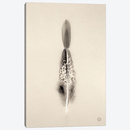Floating Feathers I Canvas Print #NLR12} by Nathan Larson Art Print