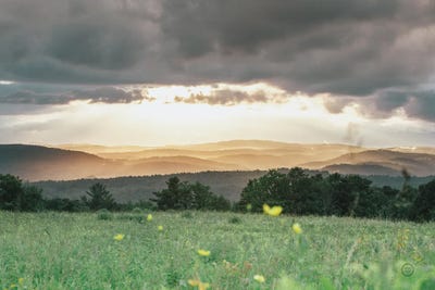Laying In The Flowers by Nathan Larson canvas print