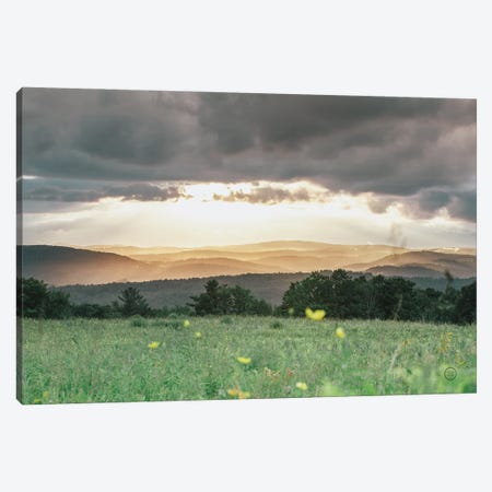Laying In The Flowers Canvas Print #NLR13} by Nathan Larson Art Print