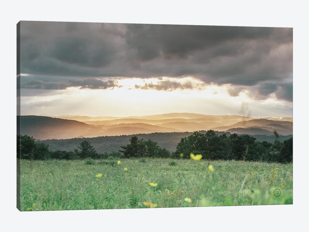Laying In The Flowers by Nathan Larson 1-piece Canvas Art