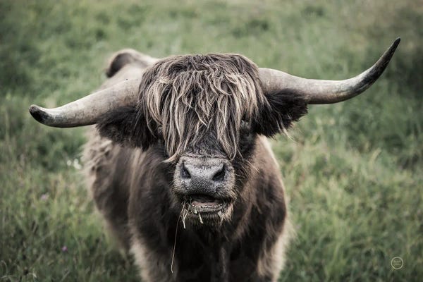 Nathan Larson: What by Nathan Larson