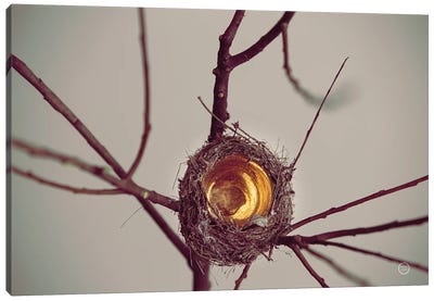 What Is Golden Canvas Art Print - Nests