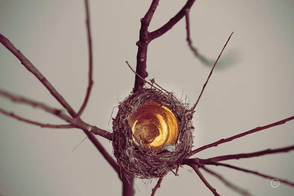 Nests: What Is Golden by Nathan Larson