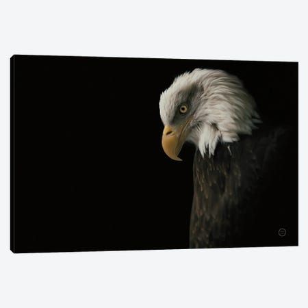 Eagle Bow Canvas Print #NLR1} by Nathan Larson Art Print