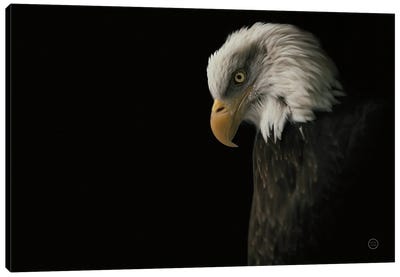 Eagle Bow Canvas Art Print - Eagle Art