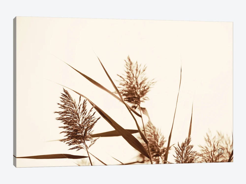 Country Grasses I by Nathan Larson 1-piece Canvas Art Print