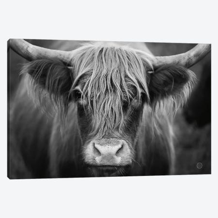 Cow Nose In Black & White Canvas Print #NLR22} by Nathan Larson Canvas Art