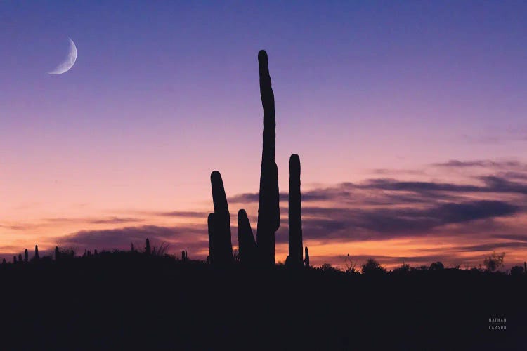 Desert Moons by Nathan Larson wall art