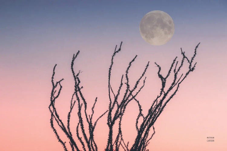 Reaching Up Moon by Nathan Larson wall art