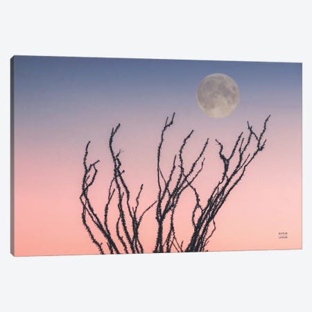 Reaching Up Moon Canvas Print #NLR24} by Nathan Larson Canvas Print