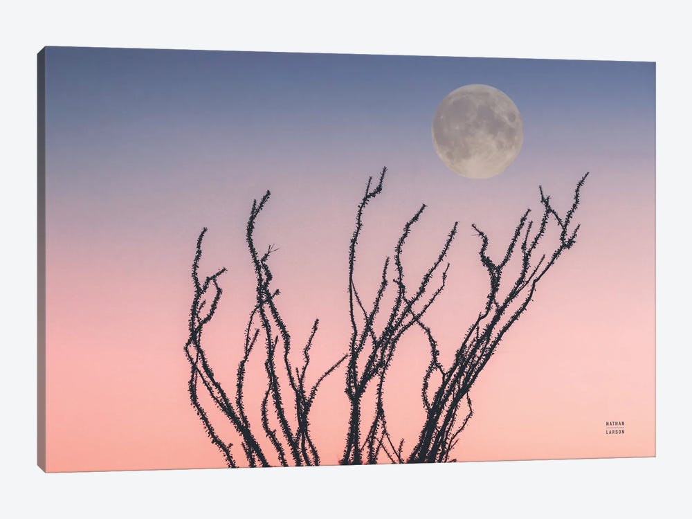 Reaching Up Moon by Nathan Larson 1-piece Canvas Art