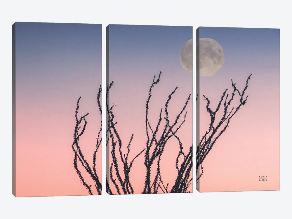 Reaching Up Moon by Nathan Larson 3-piece Canvas Wall Art