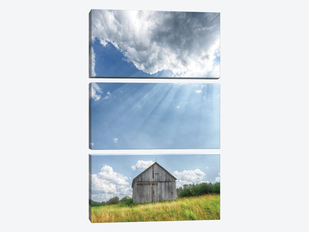Barn Rays by Nathan Larson 3-piece Canvas Wall Art