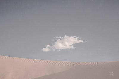 White Sands Neutral by Nathan Larson canvas print