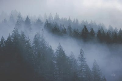 The Cove by Nathan Larson canvas print