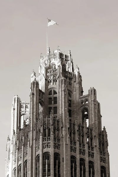 Chicago: Chicago Skyline VIII by Nathan Larson