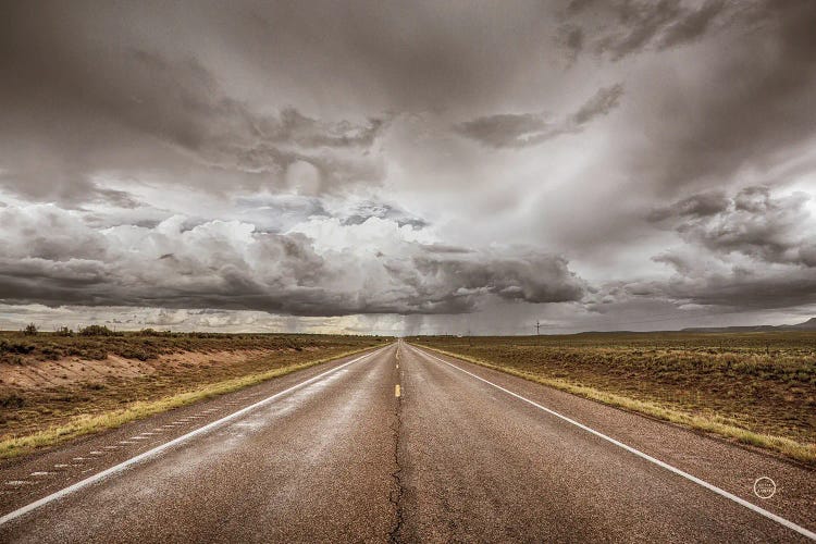 Into The Storm by Nathan Larson wall art