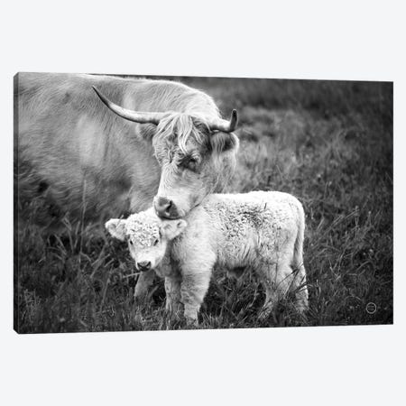Cow Care Canvas Print #NLR8} by Nathan Larson Canvas Print