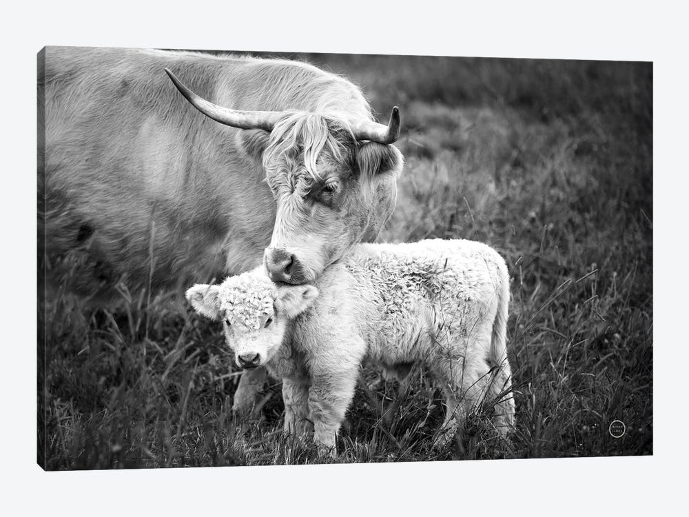 Cow Care by Nathan Larson 1-piece Canvas Artwork