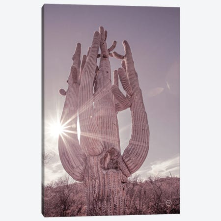 Dusty Desert Saguaro Canvas Print #NLR9} by Nathan Larson Canvas Print
