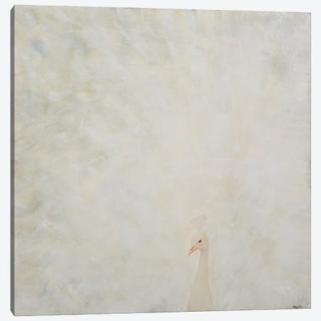 White Light Canvas Print #NLV12} by Norah Levine Canvas Print
