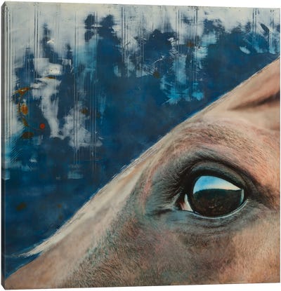 Gaze at Dusk Canvas Art Print - Emotive Animals