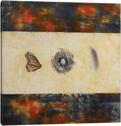 Potential Canvas Art Print - Monarch Metamorphosis
