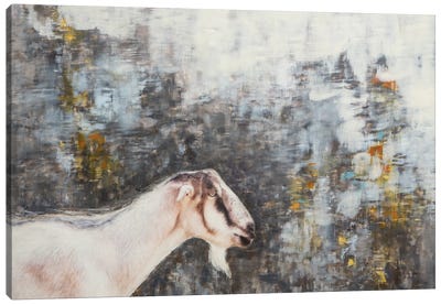 Sincerity Canvas Art Print - Goat Art