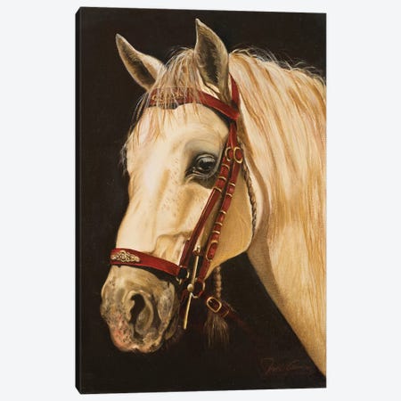 Horse Canvas Print #NLY2} by Nelly Arenas Canvas Art
