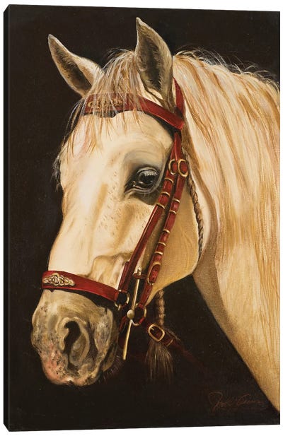 Horse Canvas Art Print