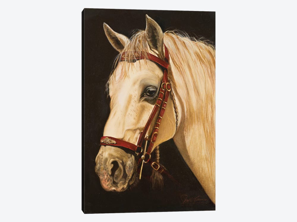 Horse by Nelly Arenas 1-piece Canvas Art Print
