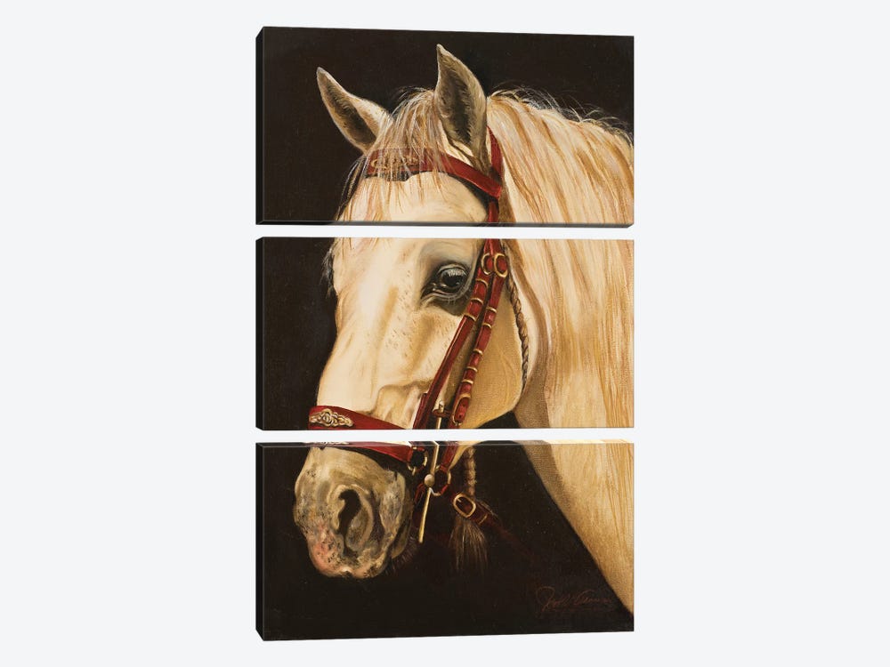 Horse by Nelly Arenas 3-piece Art Print