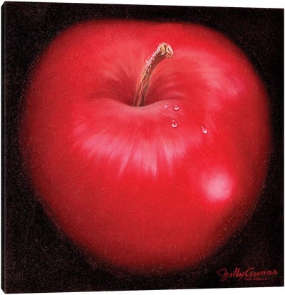 Red Apple Canvas Art Print - Apple Art