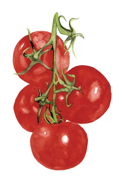 Naomi McCavitt: Watercolor Veggie IV by Naomi McCavitt